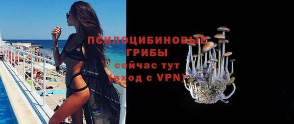 ПСИЛОЦИБИНОВЫЕ ГРИБЫ Киренск