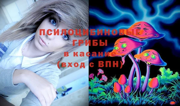 бошки Киреевск