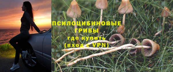mix Козловка