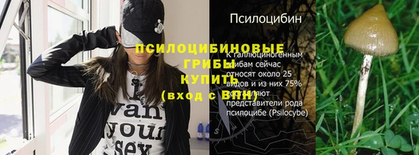 гашик Кинешма