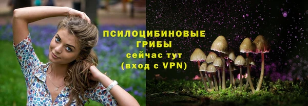 ПСИЛОЦИБИНОВЫЕ ГРИБЫ Киренск