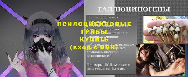 гашик Кинешма
